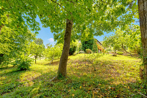Garden - click for photo gallery
